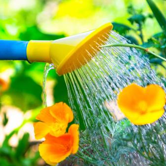 Ferienzeiten der Zahnarztpraxis