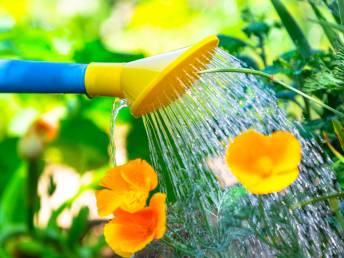 Ferienzeiten der Zahnarztpraxis