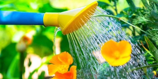 Ferienzeiten der Zahnarztpraxis